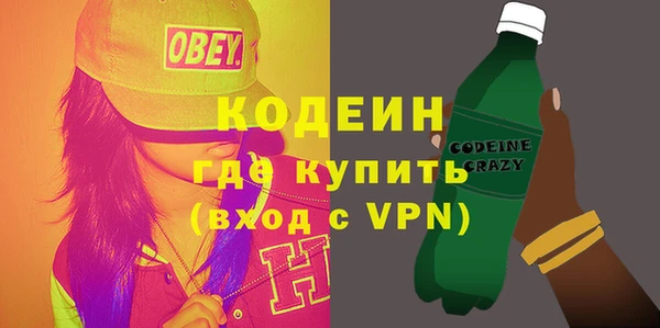шишки Горно-Алтайск