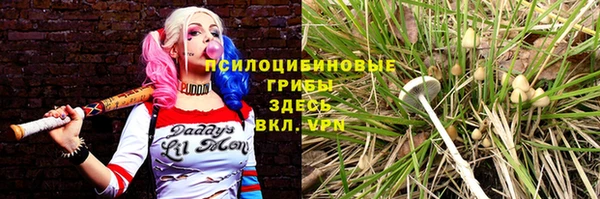 спайс Горняк