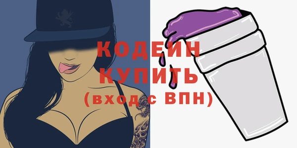шишки Горно-Алтайск