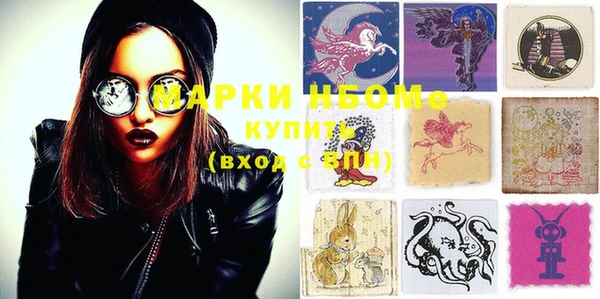 шишки Горно-Алтайск