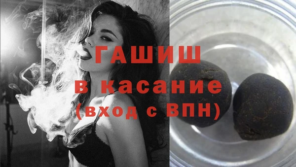 шишки Горно-Алтайск